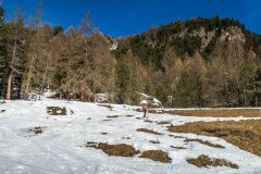 IMG_8784