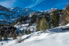 IMG_8785