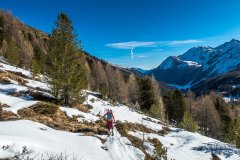 IMG_8788