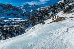 IMG_8790