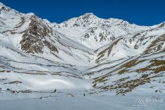IMG_8791