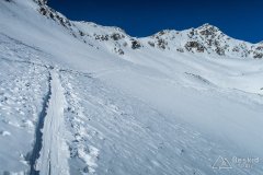IMG_8803