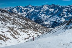 IMG_8806