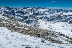 IMG_8814