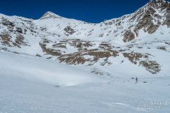 IMG_8850