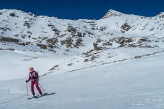 IMG_8875