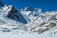 IMG_8887