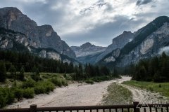 IMG_9001