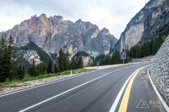 IMG_9003