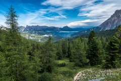 IMG_9007