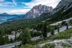 IMG_9009