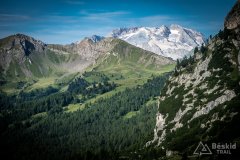 IMG_9011