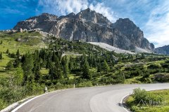 IMG_9020
