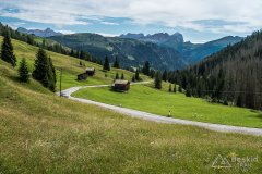 IMG_9026