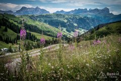 IMG_9027