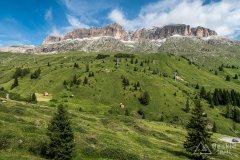IMG_9031