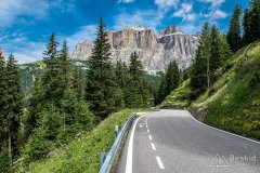 IMG_9036