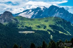IMG_9042