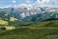 IMG_9046