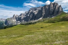 IMG_9048