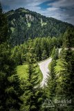 IMG_9050
