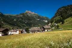 IMG_9062