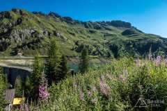 IMG_9073