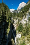 IMG_9083