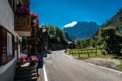 IMG_9084