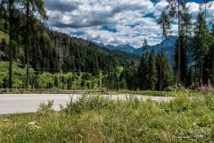 IMG_9097