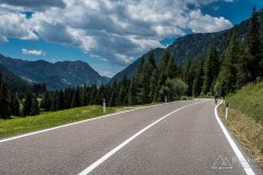 IMG_9105