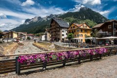IMG_9110