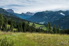 IMG_9117