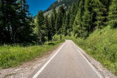 IMG_9130