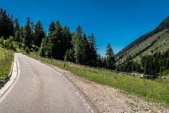 IMG_9131