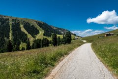 IMG_9133