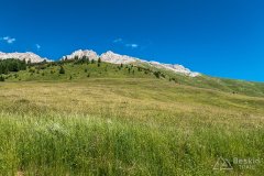 IMG_9134