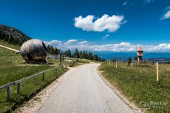 IMG_9137
