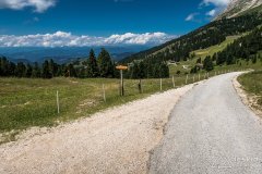 IMG_9139