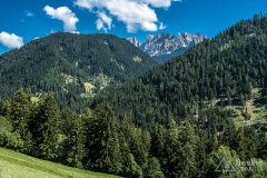IMG_9143