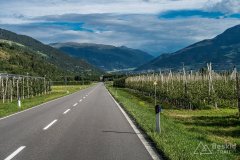 IMG_9156