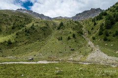 IMG_9170