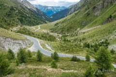 IMG_9173
