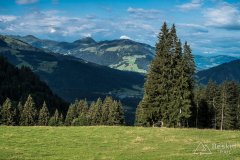 IMG_9199