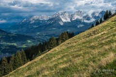 IMG_9200