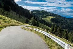 IMG_9201