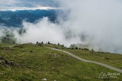 IMG_9211
