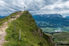 IMG_9219
